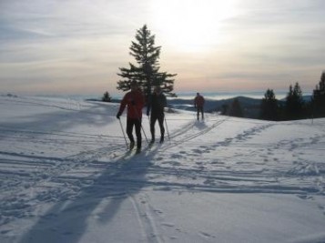 Ski-Langlauf